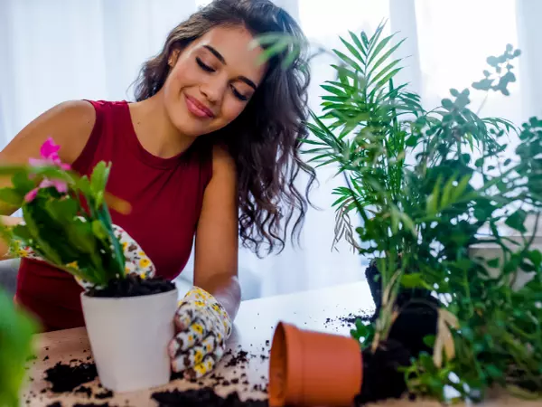 Want to become a plant mom?