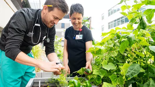 Gundersen physicians working on rooftop garden