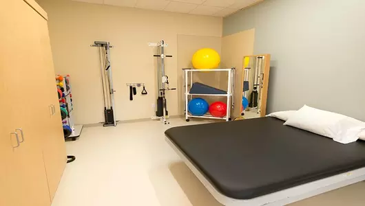 Caledonia physical therapy services