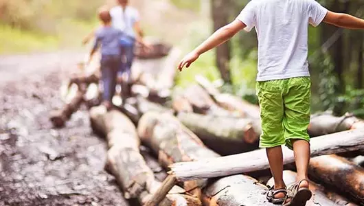 kids walking along tree trunks