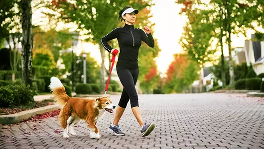 how your dog can help you walk 10000 steps a day