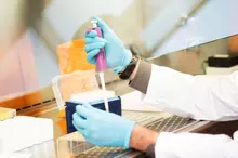 Gloved hands of research scientist in lab.